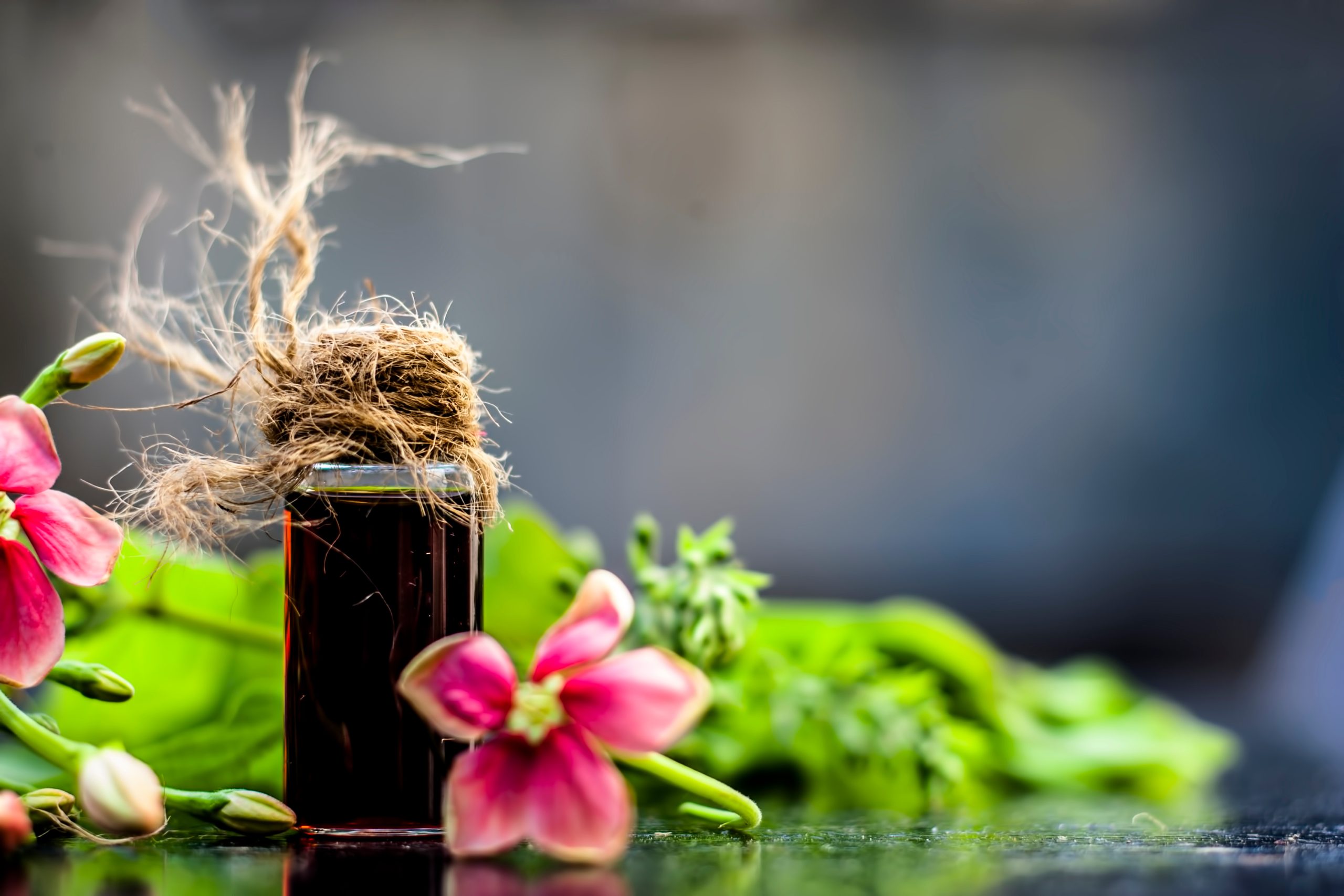 ayurvedic diet kapha