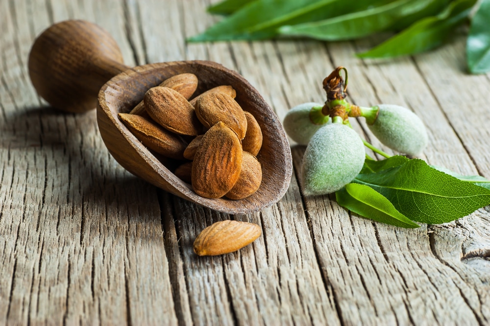 almonds for weight loss
